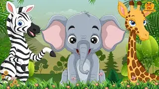 Farm Animal Habitats: Zebra, Elephant, Giraffe, Bear, Rabbit, Lemur | Animal Videos