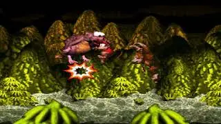 Donkey Kong Country: Level 26: Really Gnawty Rampage (Boss 4)