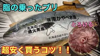 脂の乗った「ブリ」を超安く買うコツがある！知ってるとお得なブリの㊙︎情報☆(捌き方、食べ方)
