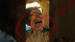 People who challenged Allah.#shorts #viralvideo #ytshort #islam