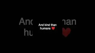 Animals are more loyal than... 😉|#shortvideo#spiralart #quotes #animals