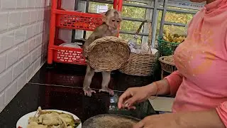 Smart Monkey Jack Very Cute & Comfortable With Hang on Basket For Mom Prepared Veggie Cooking
