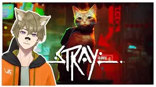 [Stray] Knuddel Katzen Alarm! Teil2  - LIVE 🔴