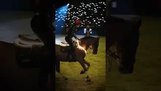 Super gave SHOW met Galante!😍✨ #paarden #jumping #ruiter