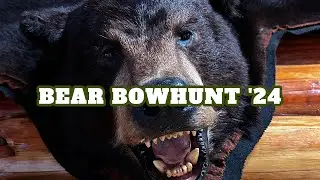 Bow Hunting Black Bear in Quebec '24