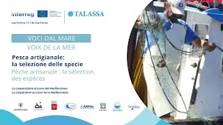 Federico Sacc&agrave; &ndash; Pesca artigianale | P&ecirc;che artisanale | TALASSA