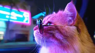Cat in Miami 🌴 Addictive 80s Nu Disco & Funk House for Night Drives 💎 (Miami Vice Vibes)