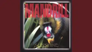 Sunshine