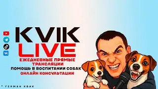 Человек собаке друг! (Герман Квик)