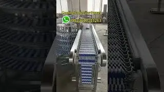 Spiral Cooling Tower Plastic Modular Belt Conveyor for Bread/Cake/Pastry/Pita/Pizza Hamburger/Toast