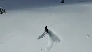 Sur la Pointe - Splitboard - DJI Neo 2
