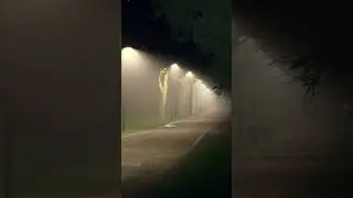How peaceful is this🤍#short #shortsvideo #meditation #nature #status #rain #relaxing