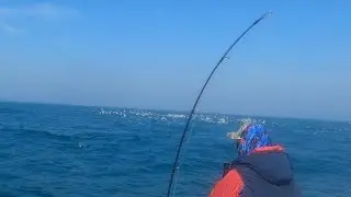 FISHING EP 51| PXA-Q BATTLE OF ADMIN BOAT JIGGING TOURNAMENT