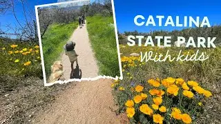 Exploring Catalina State Park