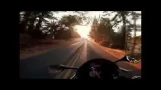 Quantos de nós vive a vida assim? - Inspiração para agora!