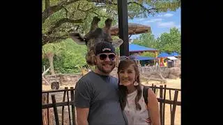 Feeding the Giraffes at Houston Zoo (2019)