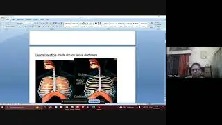 Discussion on Function  of Respiratory System (Lungs)  as described in  Modern Science   Dt  21 8 25