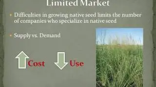 Oil and gas restoration: challenges with native seed