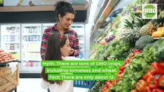 GMO Fact vs. Myth