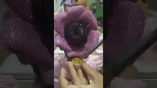 Penteado maluco 