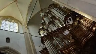 Bart Burger Orgel Psalm 124 vers 1 en 4