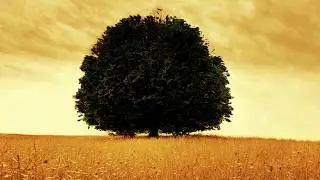 Timeless Love Songs Piano Music &ndash; Relaxing Music for Sleep, Stress Relief &ndash; Piano Instrumental Music