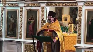 И звезда с звездою говорит.. Неделя 30-я Пятидесятнице. Слово после Литургии 04.01.2026