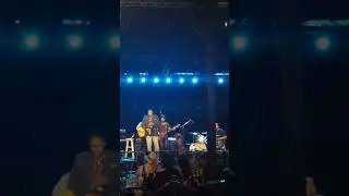 Cola Jazz Festival 19(2)