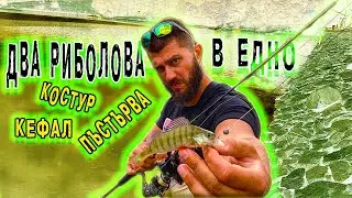 КОСТУР, ПЪСТЪРВА И КЕФАЛ в един Риболов ! LRF на ЯЗОВИР