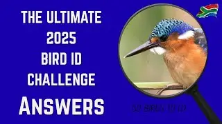 Удалось ли вам поймать их всех? — The Ultimate Bird Challenge 2025