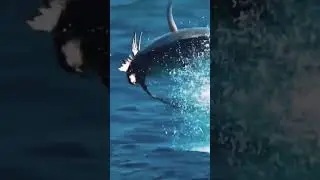 GT monster wow hunting strike
