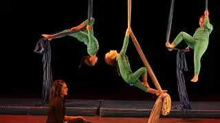 ✨ Excelente presentación de Acrokids Representando a los caballitos de mar dentro del aniversario 16