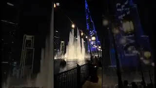 Dubai Gayrimenkul🦩