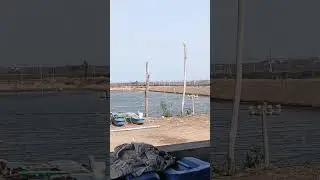 Andhra Pradesh fishery #viralvideo #like #live #kids #jimin #games #freefire #drawing #shorts #bike