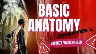 BPM Anatomy Series (English) :1.The Language of Movement