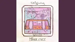Hanglemez (Live)