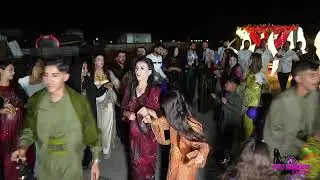 ABBAS & NAZDAR : DAYAR AİLESİ KINA PART 1 (FOTO HAMARAT)