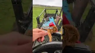 Удивительное находка в поле
