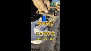 春季嫁接技术，新品种实验#支持三农扶持三农发展 #农业技术推广 #抖音助农 #嫁接技术