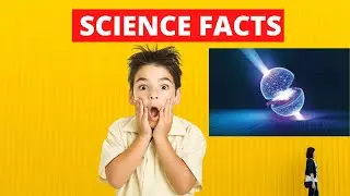 Quick science Facts | Amazing Facts | Neutron star | #shorts