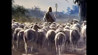 Psalm 23 How to live!