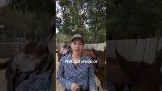Part 2 of 5 Signs it's time to work on your mental game caption, not just get more lessons. #horse
