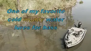 One of my favorite cold muddy water lures for bass. (Read description too)
