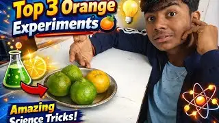 Top 3 Orange Experiments 🍊 | Science Tricks That Will Shock You!