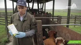 Flok 1.10% y 3.15% - Usos y Aplicación