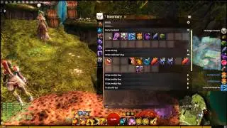 My 4,000 Achievement points unlock (Guild Wars 2)