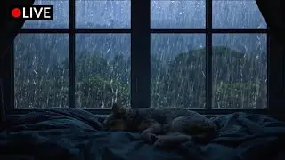 Soft Night RAIN for Deep Sleep 🌧️ Helps You Fall Asleep Fast (No Thunder)