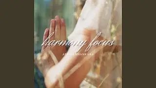Harmony focus