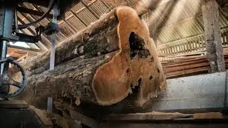 Teak Wood Cutting &ndash; Satisfying Process