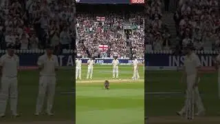 Baby kangaroo😱in cricket stadium  #kangaroo #australia #uk #england #ashes #baby #wildlife #cricket